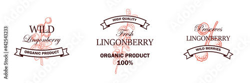 Set of hand drawn lingonberry logos with branch with leaves and berries isolated on white background. Vector illustration in sketch style