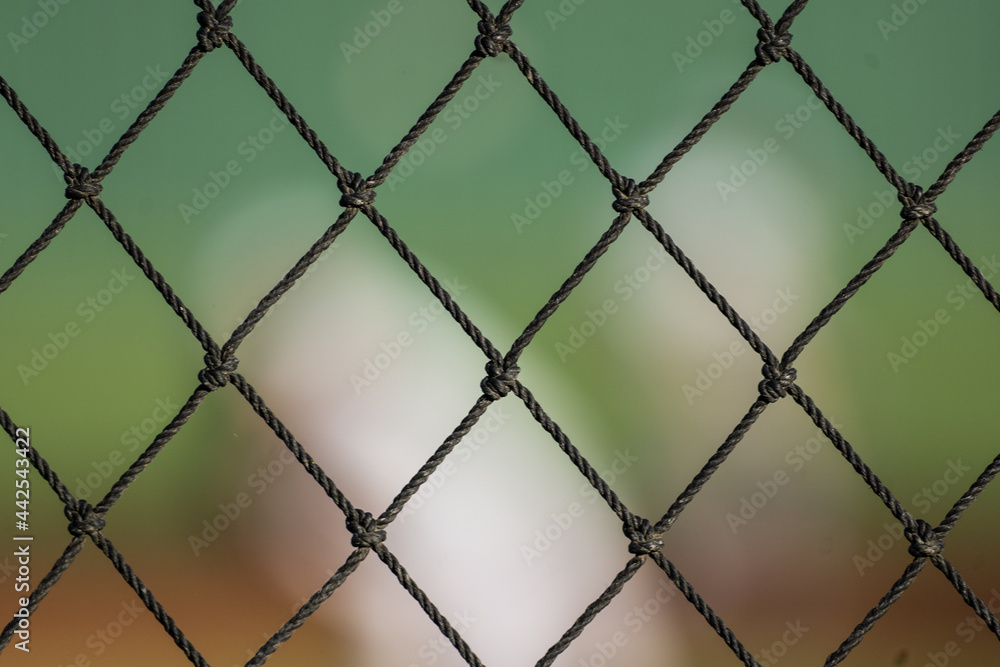 Fototapeta premium Baseball nylon fencing