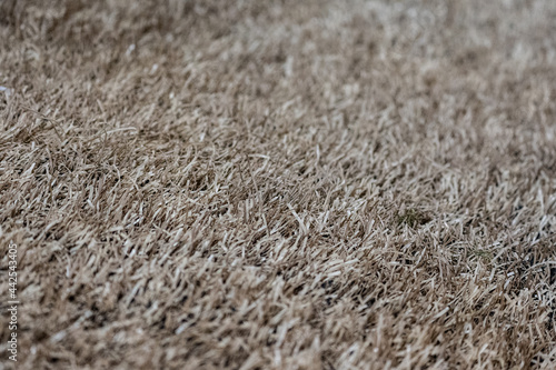 texture of turf baseball field