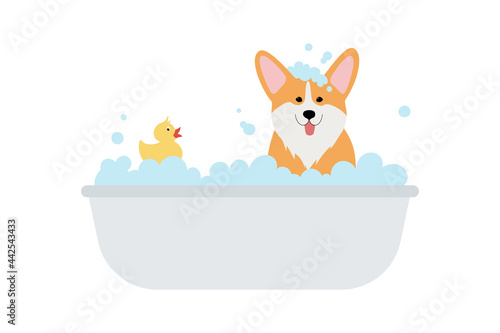 Cute corgi dog taking a bath full of soap foam. Grooming concept. Ginger puppy wash in bathroom. Yellow rubber duck in bathtub. Vector illustration in cartoon flat style isolated on white background.