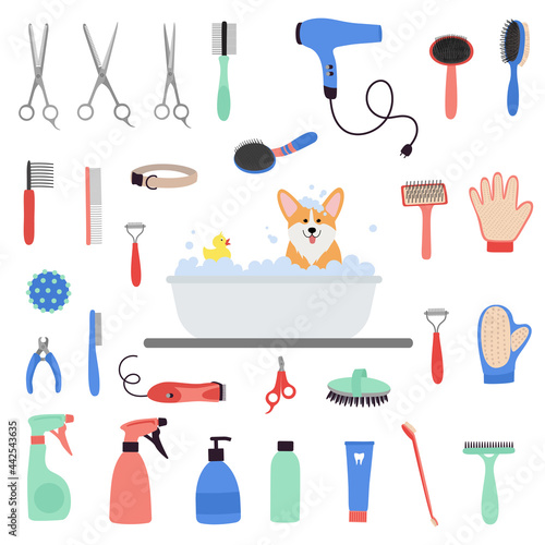 Pet grooming tools set. Dog and cat care, grooming, hygiene, health. Corgi dog bath. Beauty salon for domestic animals, Pet shop. Flat vector illustration isolated on white background