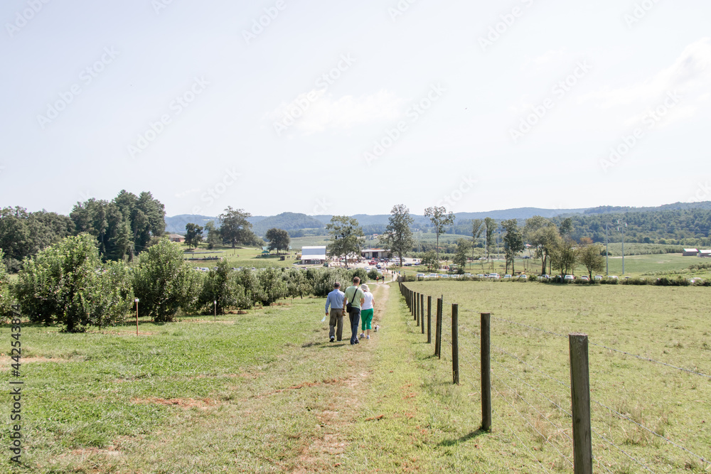 family walking in mountain apple orchard family walking in mountain apple orchard