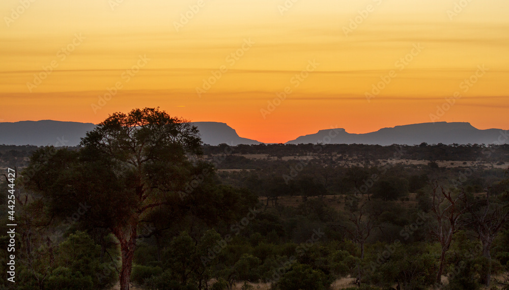African bushveld sunset