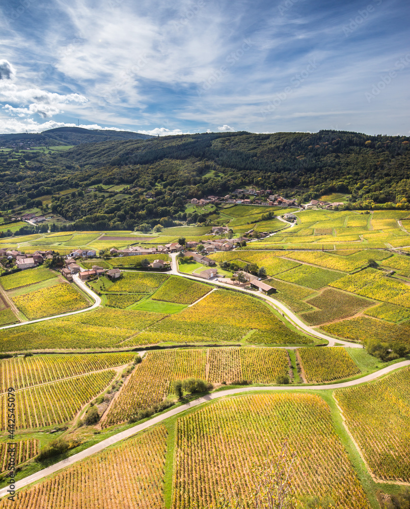 Bourguignon vineyard landscape (France)
