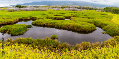 Aimakapa Fish Pond At Koloko-Honokohua National Historic Park, Hawaii,ISland, Hawaii, USA photo