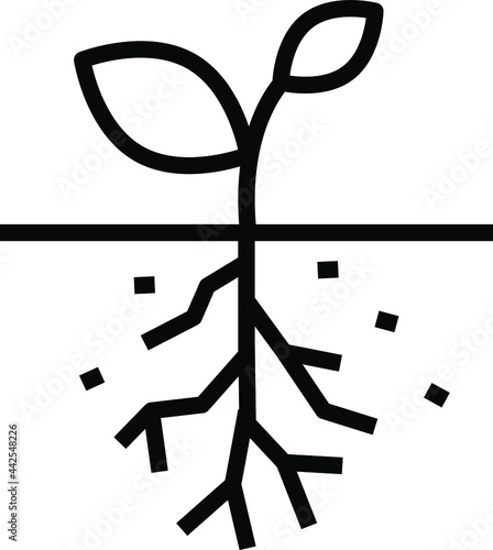 root icon , vector illustration