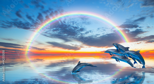 Group of dolphins jumping on the sea wave with amazing rainbow at sunset  © muratart