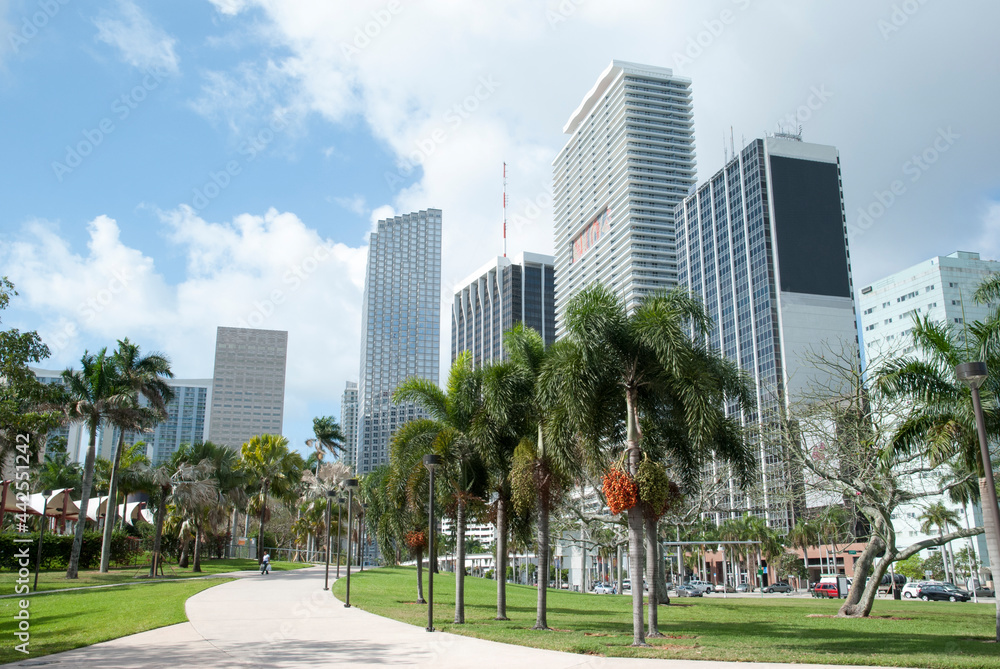 Miami Downtown Skyscrapers And A Park Miami Downtown Skyscrapers And A Park
