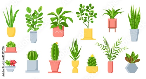 Pot plants. House tropical leaves, tree, succulents and cactus. Urban jungle, home green garden in flowerpots. Cartoon houseplant vector set