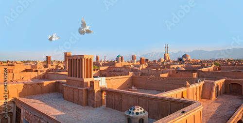 Historic City of Yazd with famous wind towers, white pigeon in the background - YAZD, IRAN
