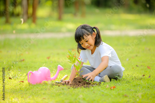 Wallpaper Mural Cute little girl asia planting young tree on black soil in the park.Which increases the development and enhances learning skills as save world new life,environmental conservation concept. Torontodigital.ca