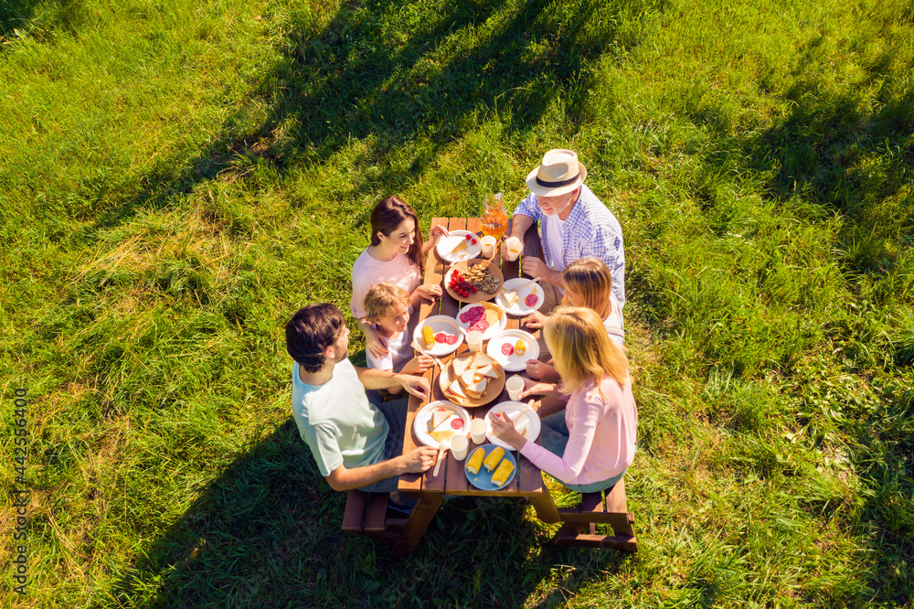 High above angle view big full family having picnic outdoors cheerful on holidays spending time together High above angle view big full family having picnic outdoors cheerful on holidays spending time together