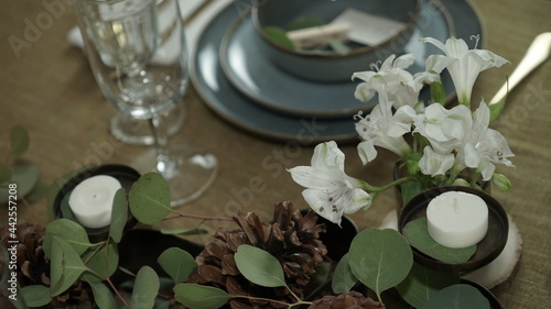 home - interior - plant - vase - white photo