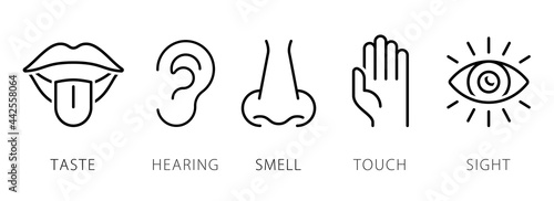 Creative vector illustration line icon set of five human senses. Vision, hearing, smell, touch, taste isolated on transparent background. Art design nose, eye, hand, ear, mouth with tongue element