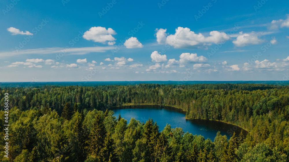 clouds over a small forest lake from a bird's eye view