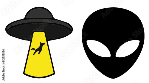 UFO, dog abduction and alien head