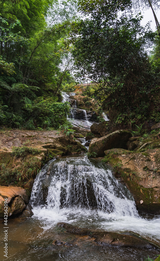 waterfall in the forest waterfall in the forest