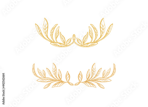 Set of crown. Hand drawn border, olive foliage