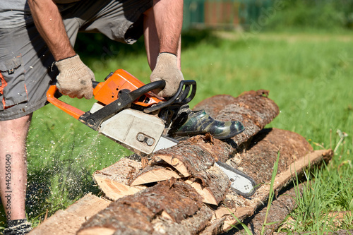 sawing timber with a chainsaw on a sunny day in summer