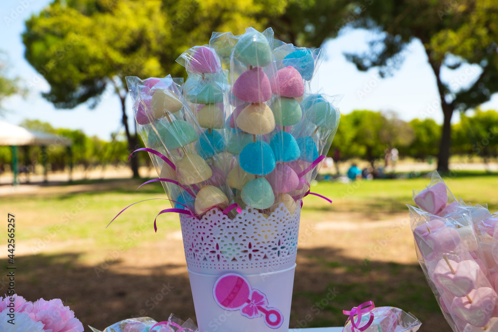 detail of jelly beans and sweets for the celebration of a pregnant