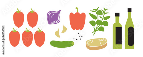 Fototapeta Naklejka Na Ścianę i Meble -  Fresh raw gazpacho ingredients. Horizontal vector illustration isolated on white.