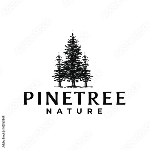 Pinetree Forest Drawing Vintage Hipster Logo Vector Illustration Template Icon Design photo