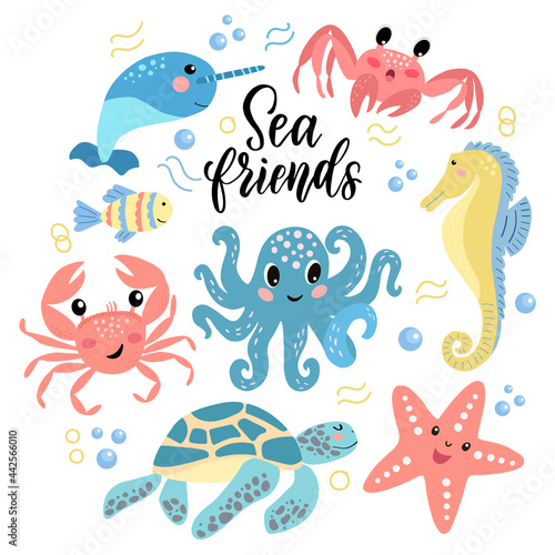 Set of cute cartoon sea animals - octopus crab turtle narwhal seahorse and lettering. Vector graphics on a white background. For the design of posters, covers, cards, prints on packaging.