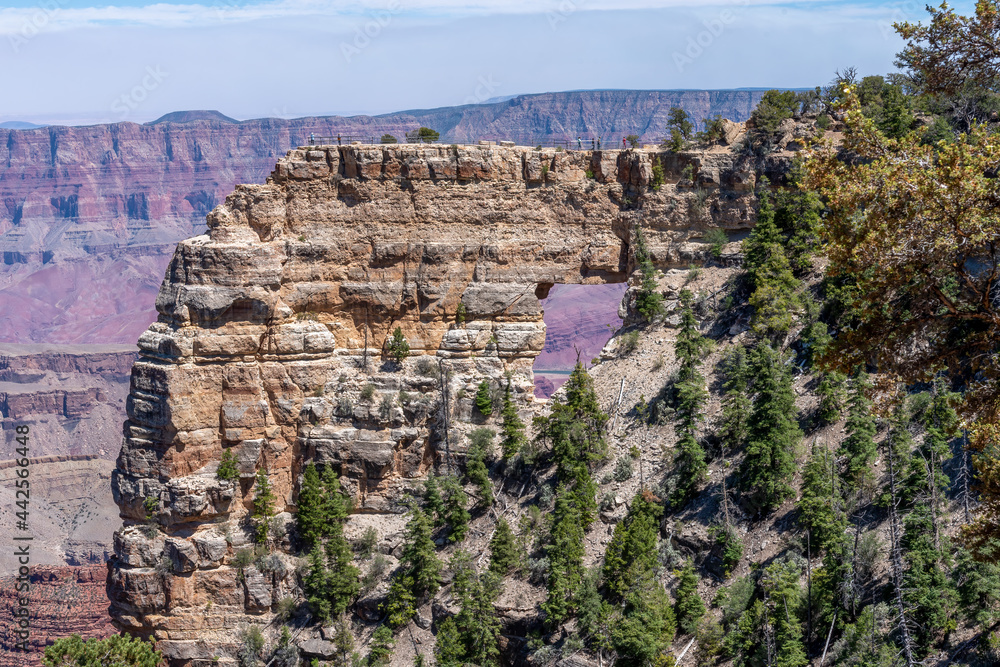 Angel’s View in the North Rim of Grand Canyon National Park