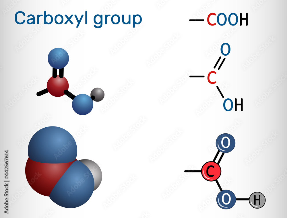 Carboxyl (carboxy) group. Functional group is defined as carbonyl and hydroxyl attached to a carbon atom. Carboxyl group is seen in carboxylic acids Carboxyl (carboxy) group. Functional group is defined as carbonyl and hydroxyl attached to a carbon atom. Carboxyl group is seen in carboxylic acids
