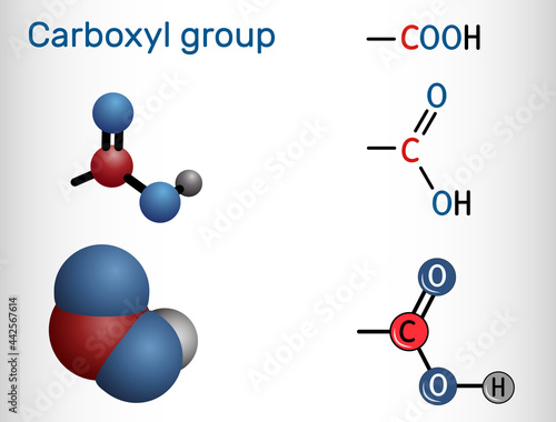 Carboxyl (carboxy) group. Functional group is defined as carbonyl and hydroxyl attached to a carbon atom. Carboxyl group is seen in carboxylic acids