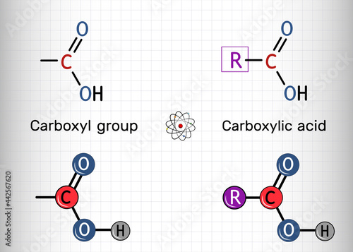 Carboxyl (carboxy) group, carboxylic acid. Сarboxylic acid contains carboxyl group  attached to an R-group. Sheet of paper in a cage