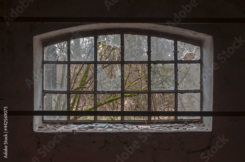 Windows in an old abandoned distillery 