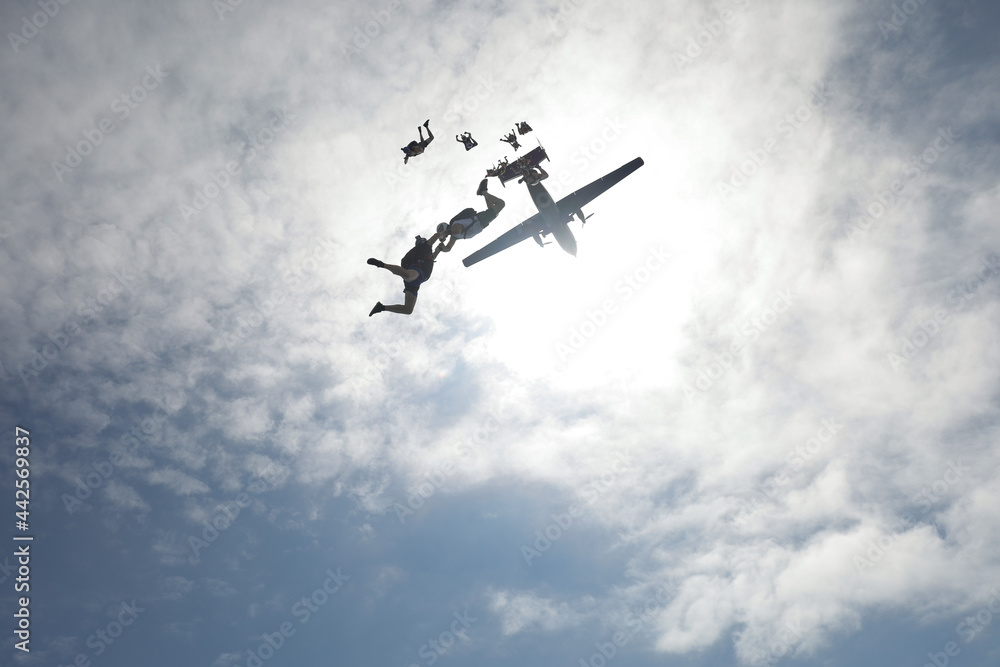 Fototapeta premium Skydiving. Half-naked skydivers are falling in the sky.