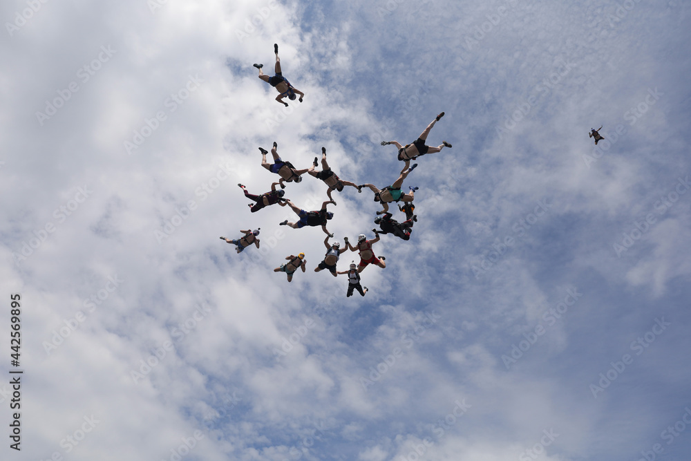 Obraz premium Skydiving. Half-naked skydivers are falling in the sky.