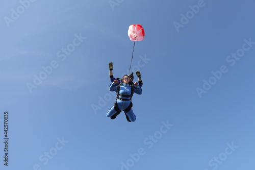 Skydiving. Tandem jump. A parachute is deploying.