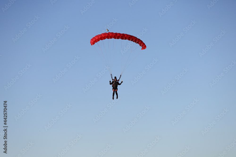 Skydiving. The girl is piloting a parachute and landing. Skydiving. The girl is piloting a parachute and landing.