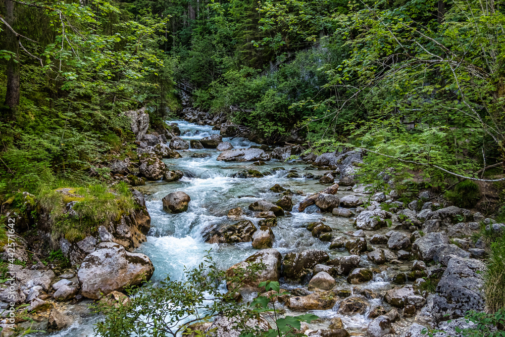 Magic Forest Zauberwald at Lake Hintersee with Creek Ramsauer Ache. National Park Berchtesgadener Land, Germany Magic Forest Zauberwald at Lake Hintersee with Creek Ramsauer Ache. National Park Berchtesgadener Land, Germany