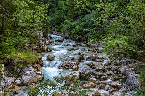 Magic Forest Zauberwald at Lake Hintersee with Creek Ramsauer Ache. National Park Berchtesgadener Land, Germany