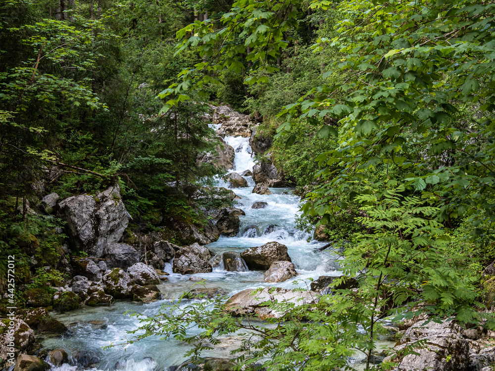 Magic Forest Zauberwald at Lake Hintersee with Creek Ramsauer Ache. National Park Berchtesgadener Land, Germany