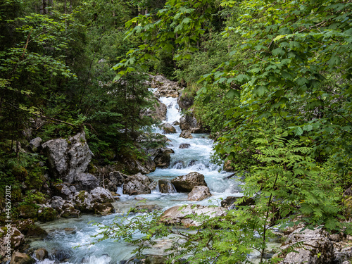 Magic Forest Zauberwald at Lake Hintersee with Creek Ramsauer Ache. National Park Berchtesgadener Land, Germany