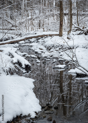 A quiet winter landscape with a stream flowing through a woodland and fresh snow.
