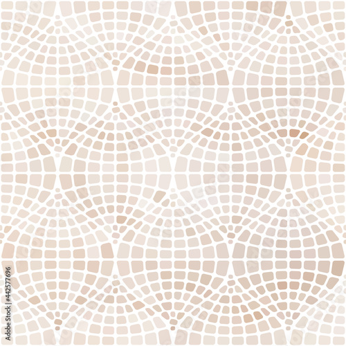 Pattern of vector mosaic in...