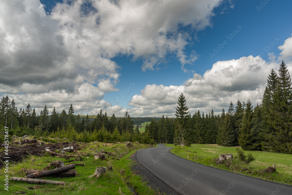 Road near Prebuz village in Krusne mountains in spring color day