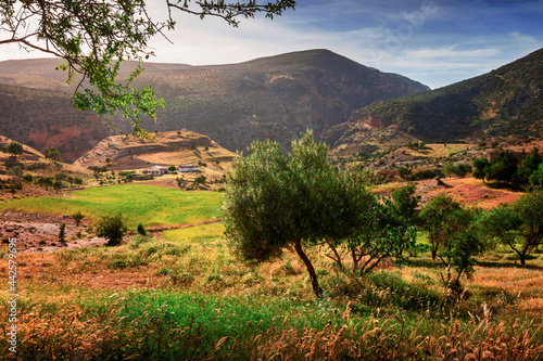 landscape photo for the nature at the mountains in Bougaa sétif algeria