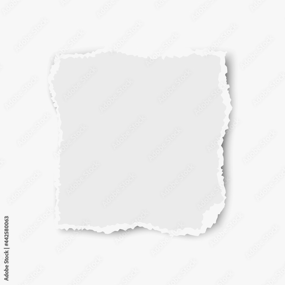 Ripped paper tear isolated on white background. Vector template paper design. Ripped paper tear isolated on white background. Vector template paper design.