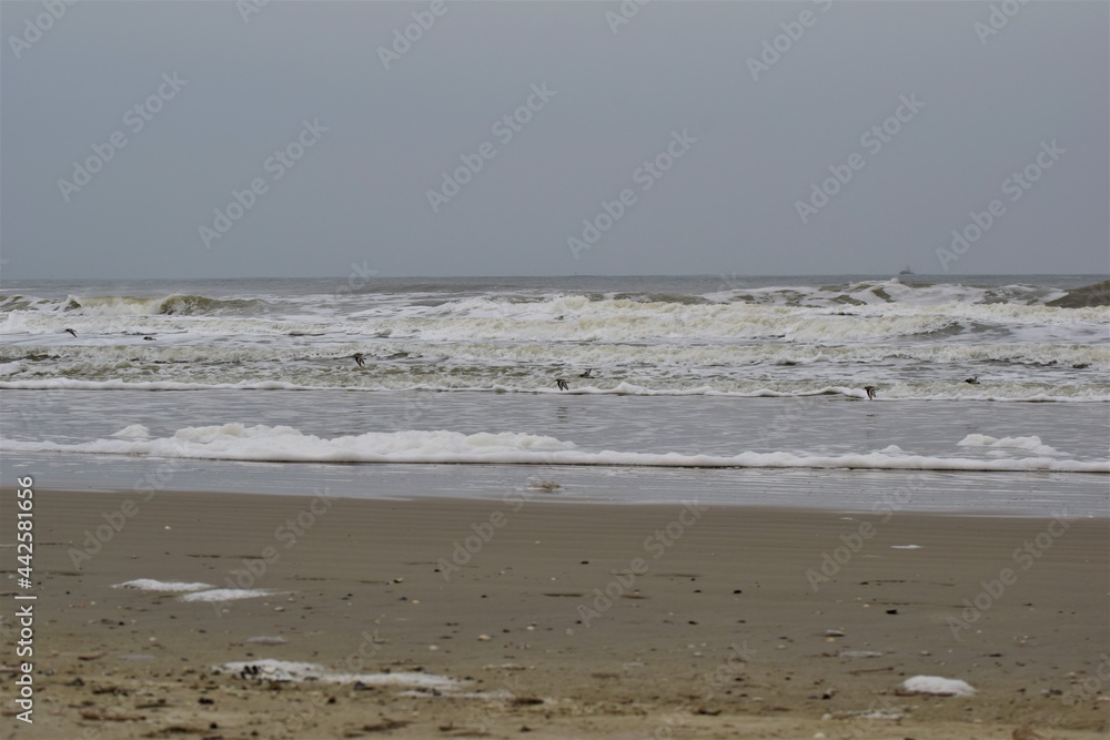 Surf on a beach of the North Sea on a stormy day