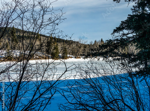 Snow covered lake. Sibbald Lake Provincial Recreation Area, Alberta, Canada photo