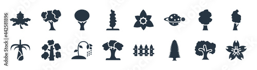 nature filled icons. glyph vector icons such as japanese flower, spruce tree, american beech tree, lemongrass, sassafras tree, the maples daffadil, shadbush sign isolated on white background.
