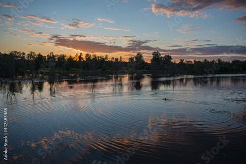 Bathing man in the river at sunset, countryside landscape.