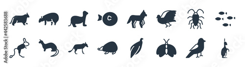 animals filled icons. glyph vector icons such as hare, moth, hegdehog, jerboa, cockroach, ferret, coyote, wombat sign isolated on white background.
